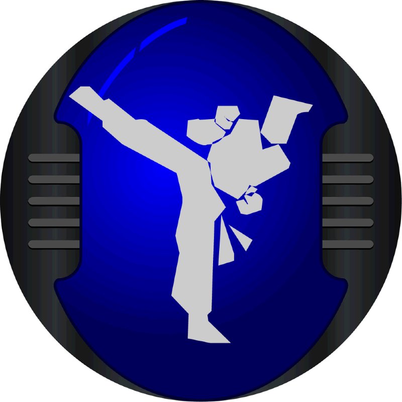 Taekwondo Bout Chart Software