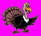 BW Turkey Tournament