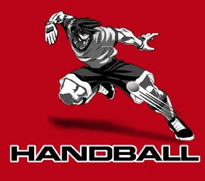 Handball Tournament in Ormond Beach, FL USA